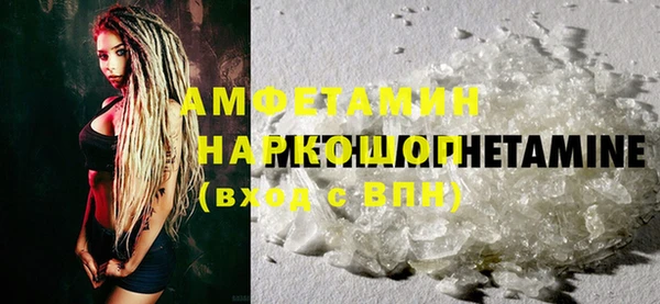 хмурый Алексин